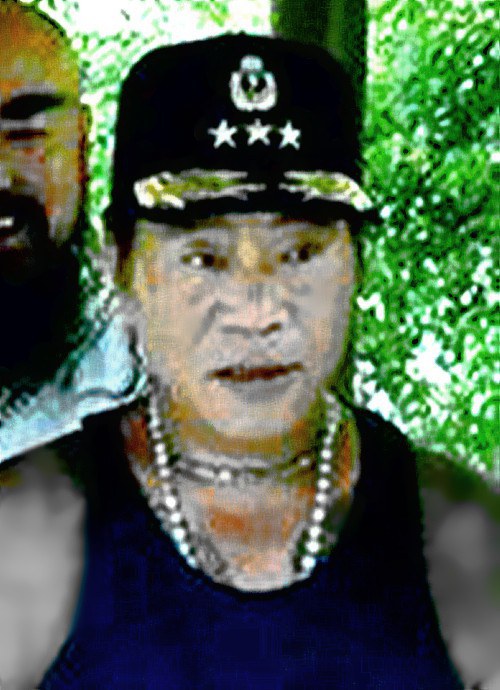 郑少峰 Shao-feng Cheng