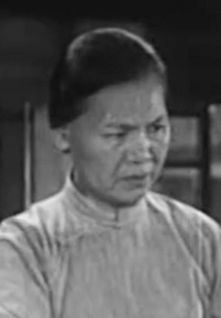 丁凤英 Fengying Ding