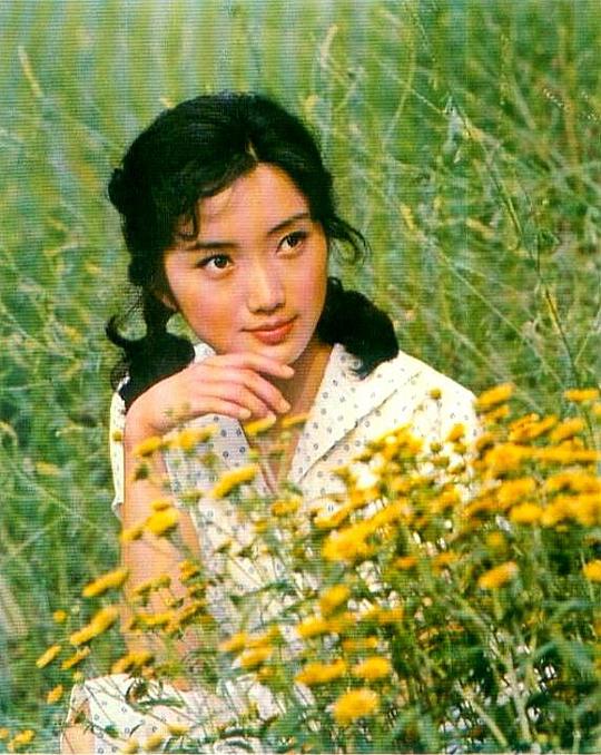 沈红 Hong Shen