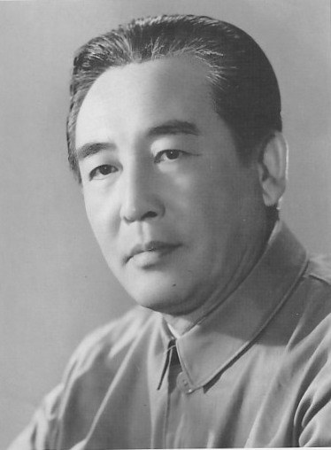 王培 Pei Wang