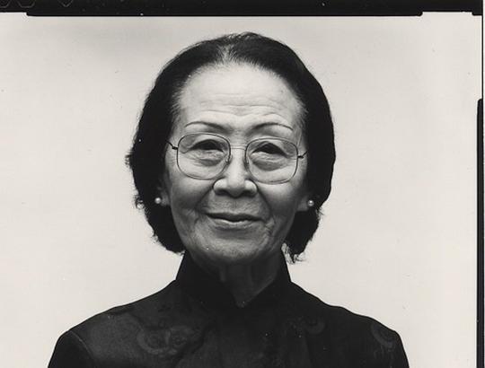 粉菊花 Ju-hua Fen