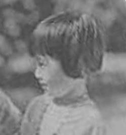 张悟鸣 Wuming Zhang