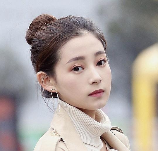 刘亦淳 Yichun Liu