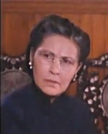 雷南 Nan Lei