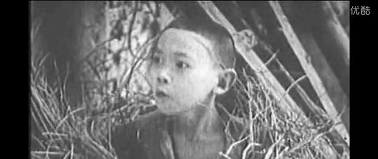 张哲德 Zhede Zhang