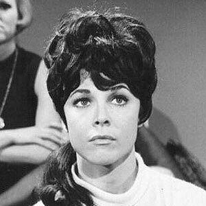 多迪·马歇尔 Dodie Marshall