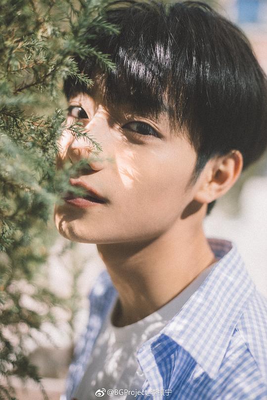 李振宁 Zhenning Li