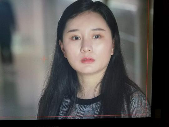 赵华珍 Huazhen Zhao