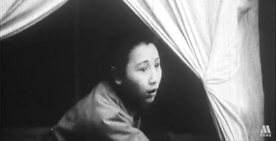 王锦明 Jinming Wang
