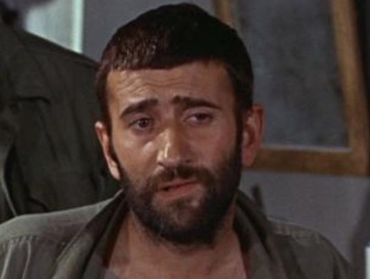 阿尔·曼西尼 Al Mancini