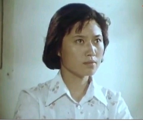 朱延芹 Yanqin Zhu