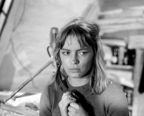 曼达·科罗娜 Magda Celówna