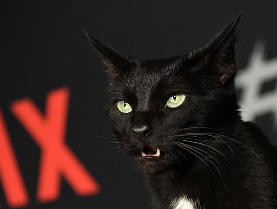 Salem Salem