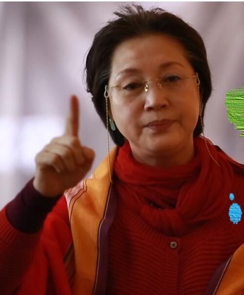 栾姝玫 Shumei Luan