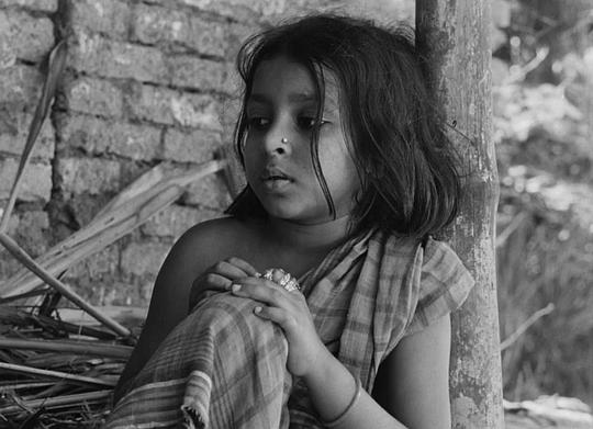 伦基·班纳杰 Runki Banerjee