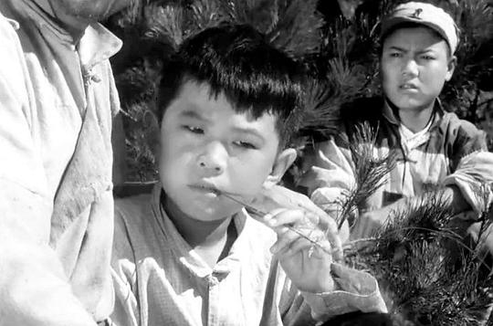 林华亭 Huating Lin