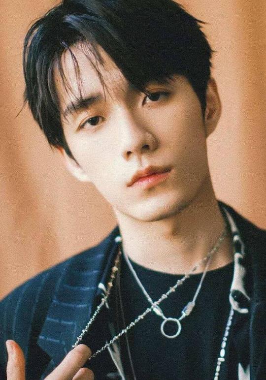 张颜齐 Yanqi Zhang