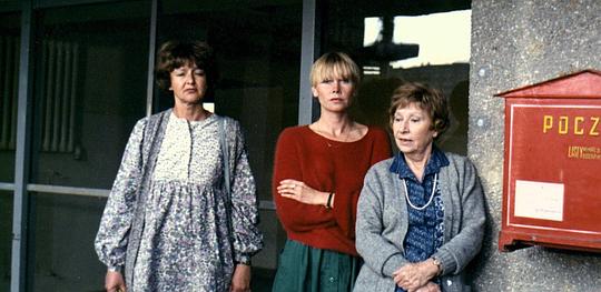 克里斯蒂娜·比格马杰 Krystyna Bigelmajer