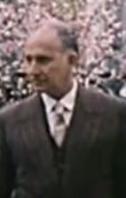 马尔·丁斯 Mardins