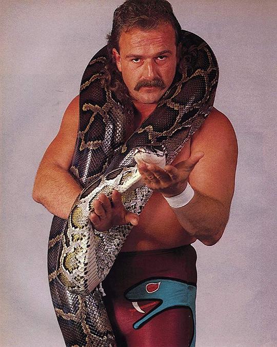 杰克·罗伯茨 Jake Roberts