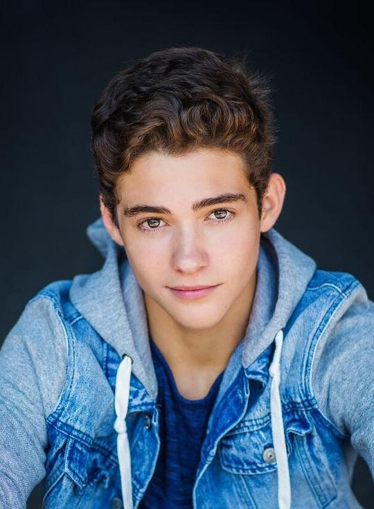 约书亚·巴塞特 Joshua Bassett