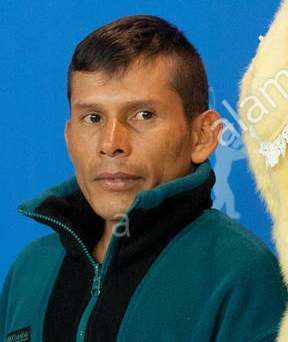 威尔逊·萨拉查 Wilson Salazar