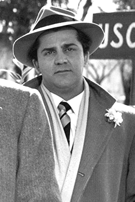 里卡尔多·费里尼 Riccardo Fellini