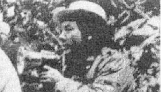 张宁 Ning Zhang