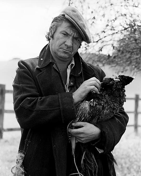 迈克尔·埃尔菲克 Michael Elphick