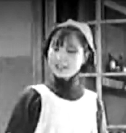 卓梅 Mei Zhuo