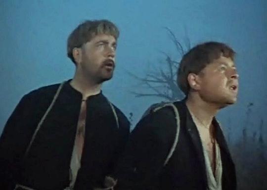 弗拉基米尔·萨尔尼科夫 Vladimir Salnikov