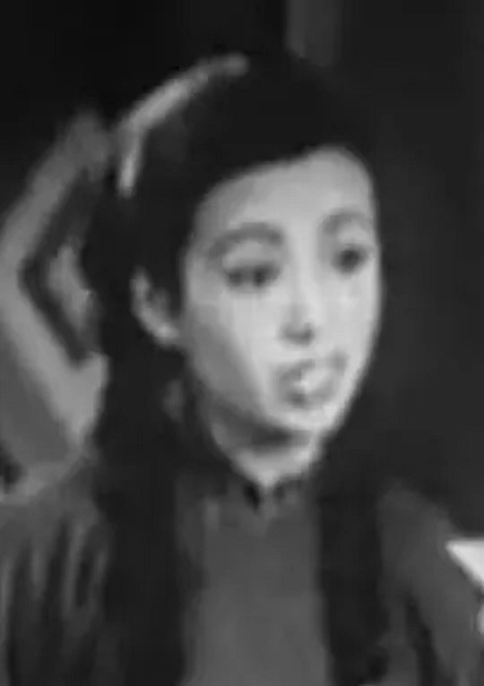 张敦玲 Dunling Zhang
