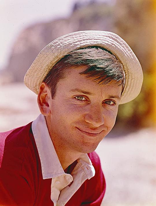 鲍勃·登佛 Bob Denver