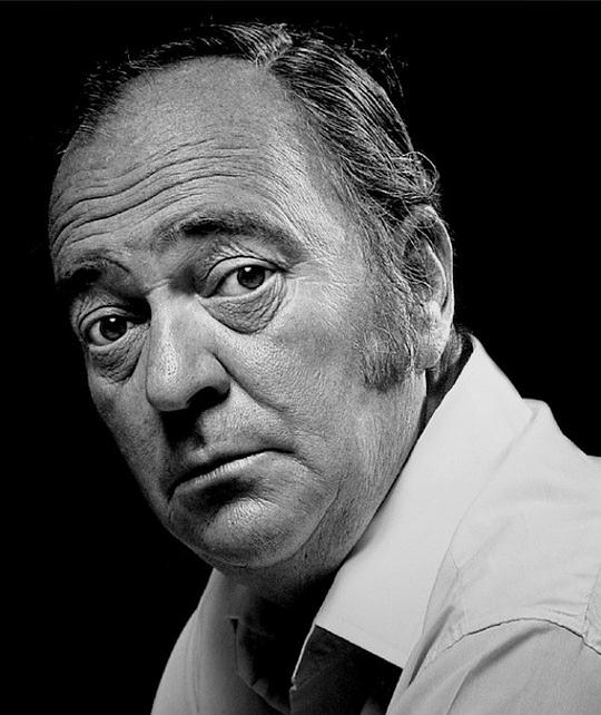 斯特拉特福德·约翰斯 Stratford Johns