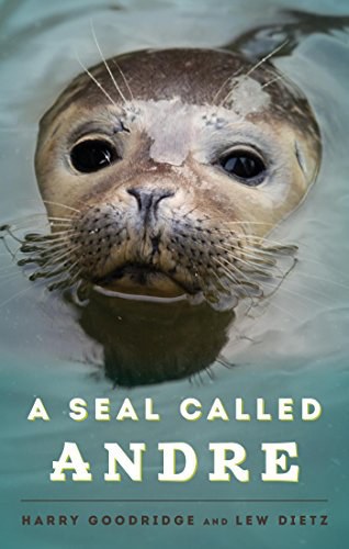 Tory The Sea Lion Tory The Sea Lion