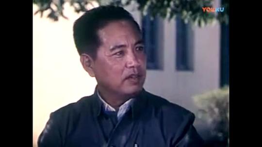 崔华 Hua Cui