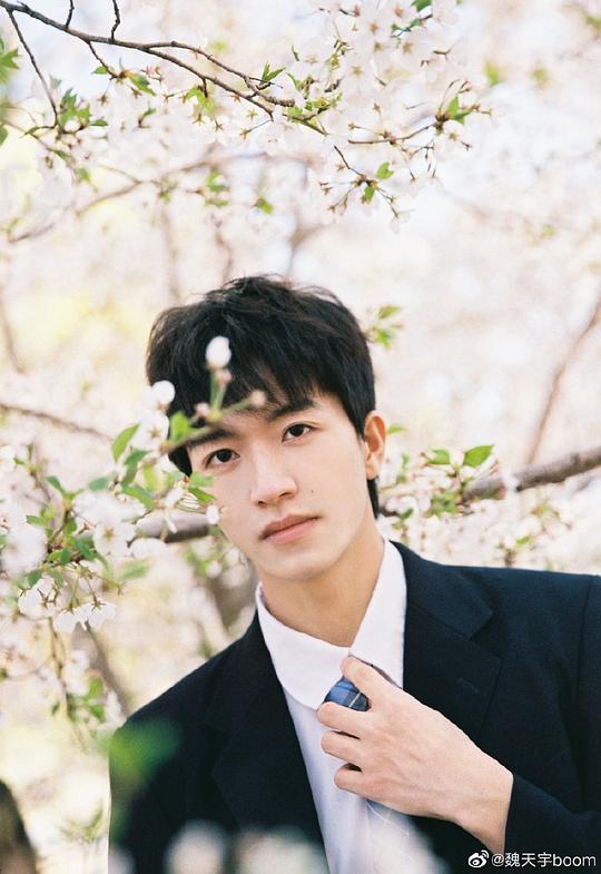 魏天宇 Tianyu Wei