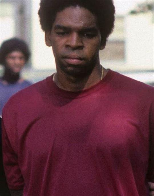 拉里·弗拉什·詹金斯 Larry Flash Jenkins