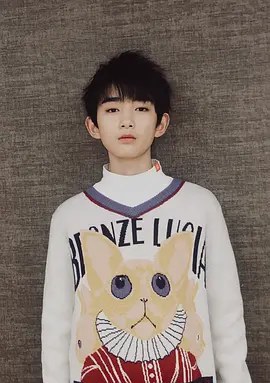 文晨辛 Chenxin Wen
