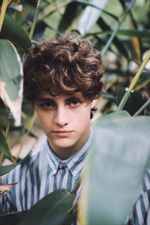 芬·奥尔格斯 Fin Argus