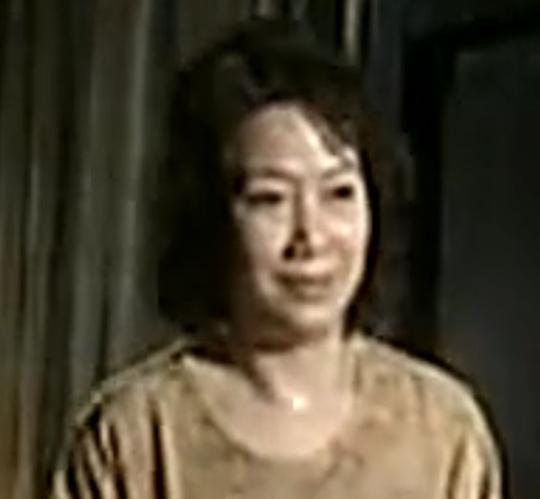 刘青 Qing Liu
