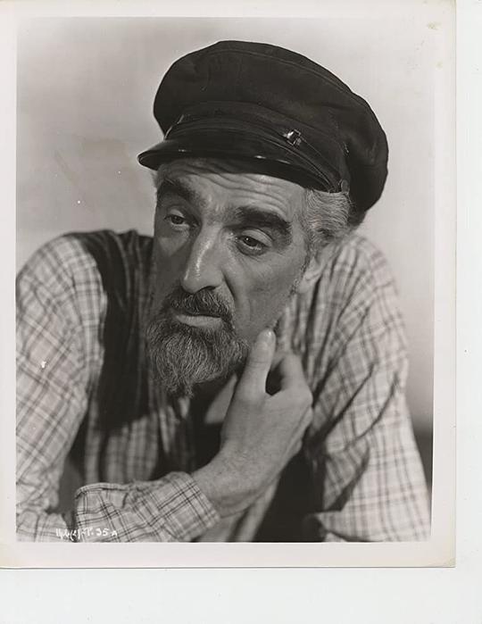 诺埃尔·珀塞尔 Noel Purcell