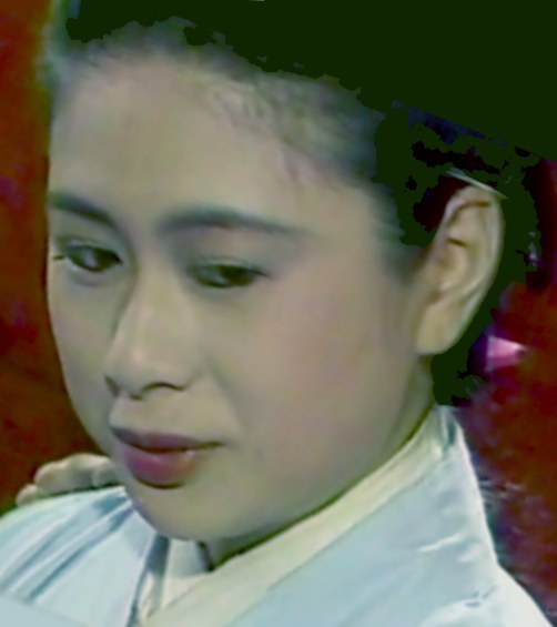 吉翔羚 Hsiang-Ling Chi