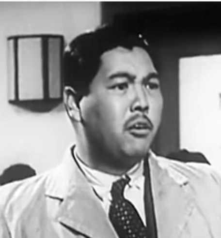 金啸岚 Xiaolan Jin