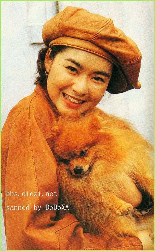 陈淑兰 Sheila Chan