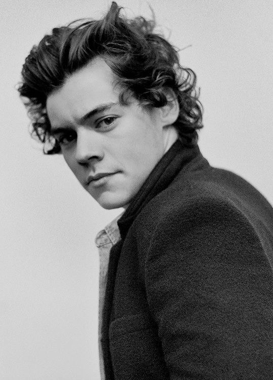 哈里·斯泰尔斯 Harry Styles