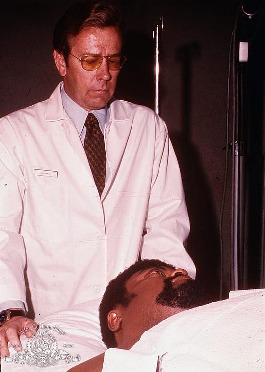 韦斯·比绍普 Wes Bishop