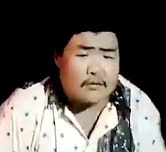 王和平 Heping Wang