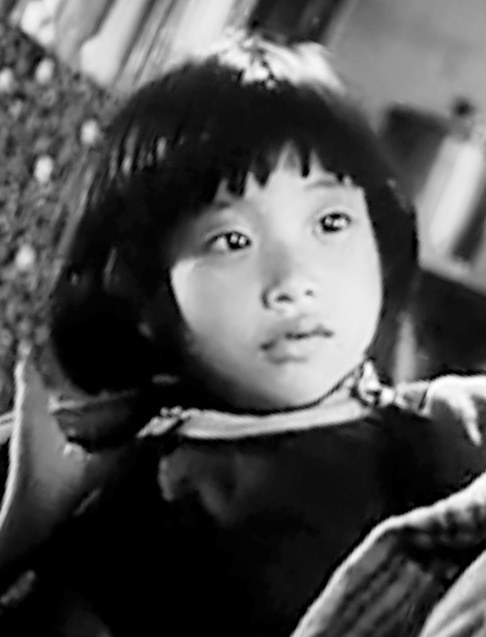 王露露 Lulu Wang