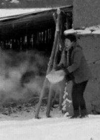 付柄丽 Bingli Fu